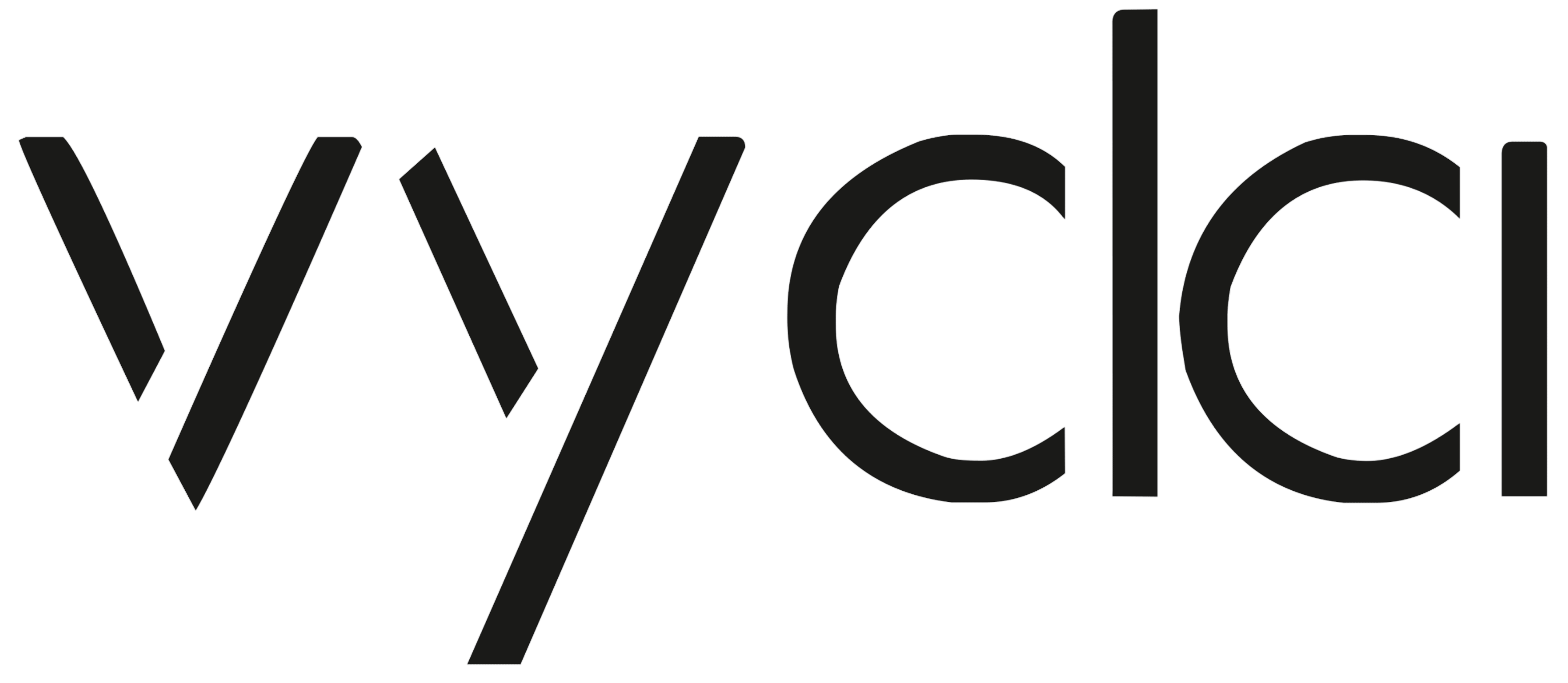 VYDA - Smart Health Bracelet per Longevità